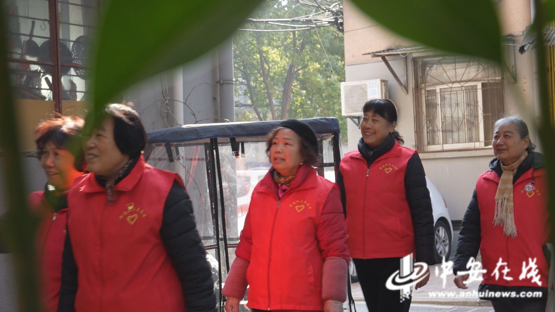 ｜“窗帘之约”的无声守护j9九游会登录中安观察