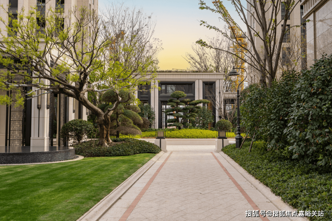 网站-价格户型容积率 处-中心(2025)首页网站-价格户型